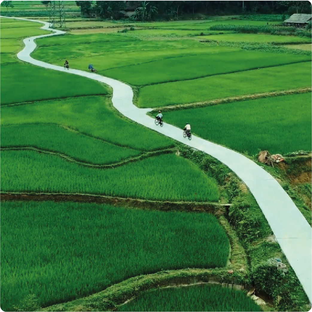 Local & Authentic Cuisine